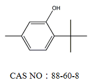 6-tert-Butyl-3-methylphenol